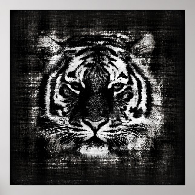 Black and White Tiger Vintage Posters (Front)