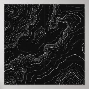 Black and white topography map poster