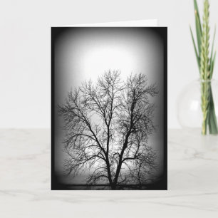 Black And White Towering Tree Thinking Of You Card