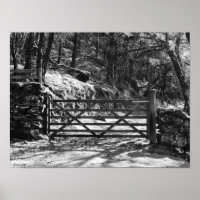 BLACK AND WHITE TREES AND GATE LANDSCAPE