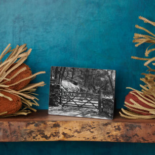 BLACK AND WHITE TREES AND GATE PLAQUE