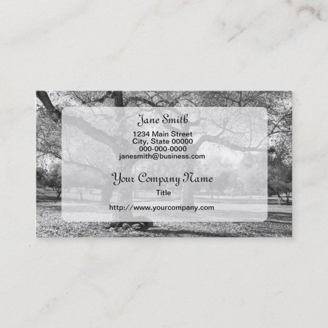 Black and White Trees Business Card (Front)