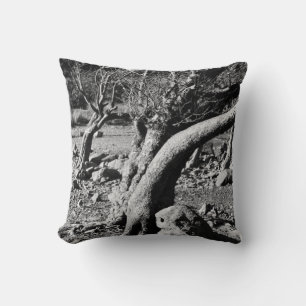 BLACK AND WHITE TREES    CUSHION