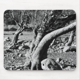 BLACK AND WHITE TREES    MOUSE MAT