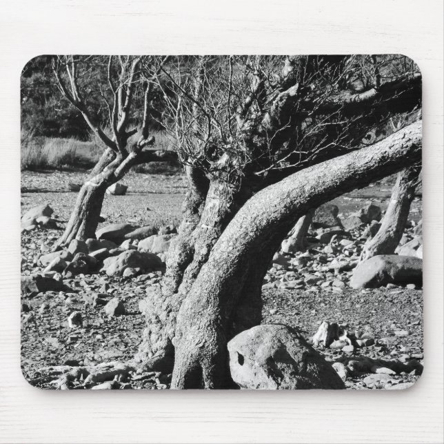 BLACK AND WHITE TREES    MOUSE MAT (Front)