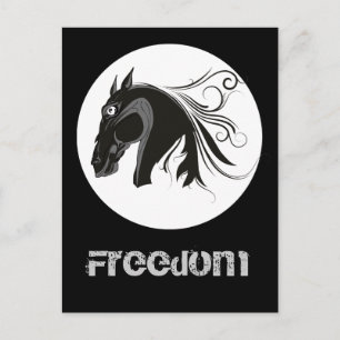 Black and white tribal horse head custom postcard