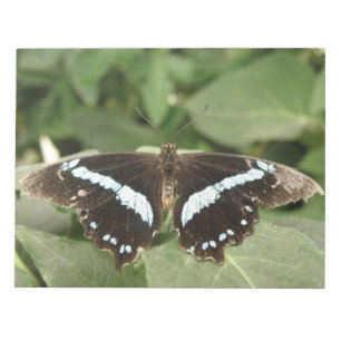 Black and White Tropical Butterfly Notepad