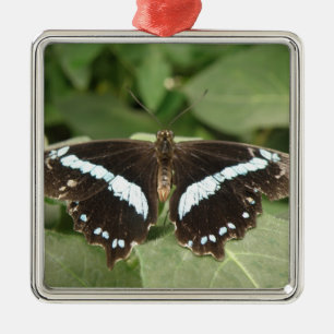 Black and White Tropical Butterfly Ornament