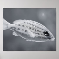 Black and White Tropical Fish Printable Art 