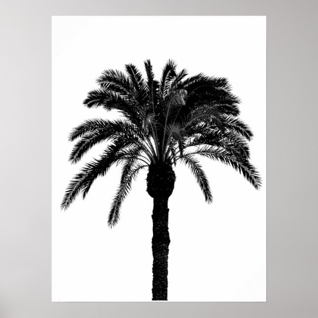 black and white  tropical palm tree poster (Front)