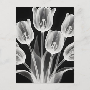 Black and White Tulips Elegant Monochrome Postcard