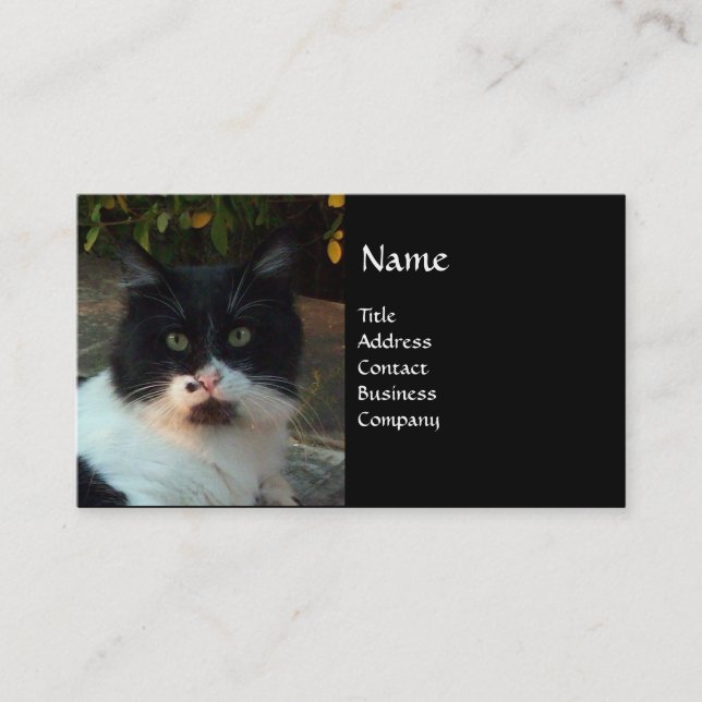 BLACK AND WHITE TURKISH CAT PIERO BUSINESS CARD (Front)