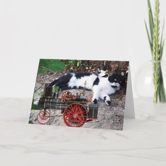 BLACK AND WHITE TURKISH CAT PIERO CARD (Front)
