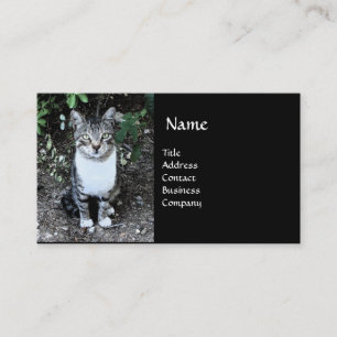 BLACK AND WHITE TURKISH CAT RONIN BUSINESS CARD