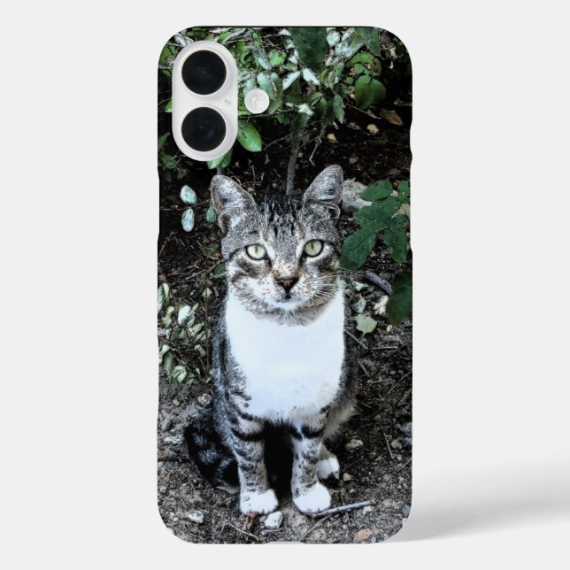 BLACK AND WHITE TURKISH CAT RONIN Case-Mate iPhone CASE (Back)