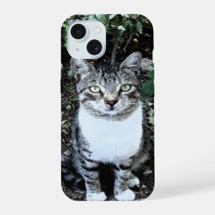 BLACK AND WHITE TURKISH CAT RONIN iPhone 15 CASE