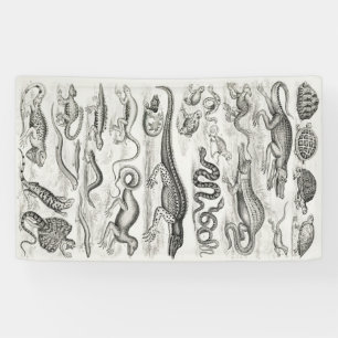 Black and White Turtle Reptiles Alligators Banner