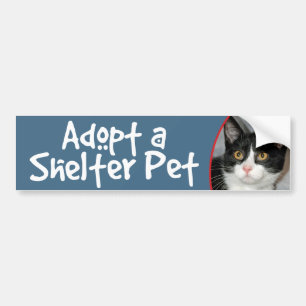 Black and White Tuxedo Cat Bumper Stickers/Decals Sticker