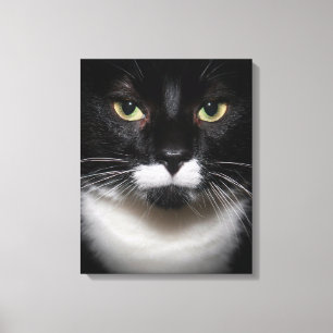 BLACK AND WHITE TUXEDO CAT ON WRAPPED CANVAS