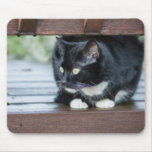 Black and White Tuxedo Cat Photo Mouse Mat