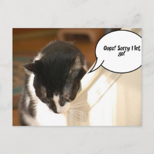 black and white tuxedo Cat Postcard