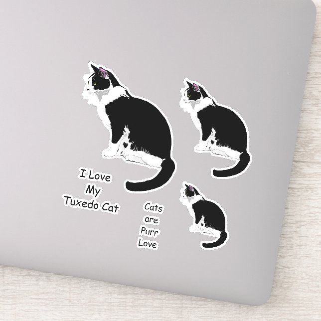 Black and White Tuxedo Cats Sticker Set (Detail)