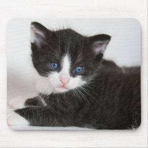 Black and White Tuxedo Kitten Mouse Mat