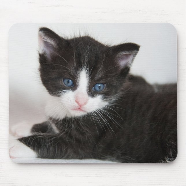 Black and White Tuxedo Kitten Mouse Mat (Front)