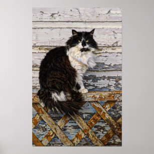 Long Haired Black Cat Art Wall Decor Zazzle Co Uk