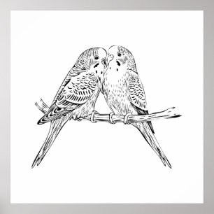Black and white Two Budgies Perched Together Poster
