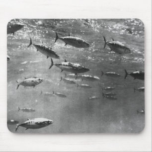 Black and White underwater photograph of Tunas Mouse Mat