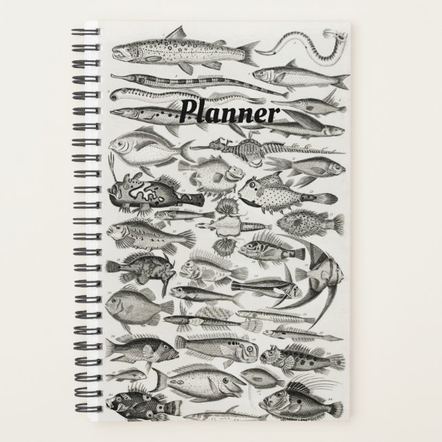 Black and White Vintage fish, ocean, ichthyologist Planner (Front)