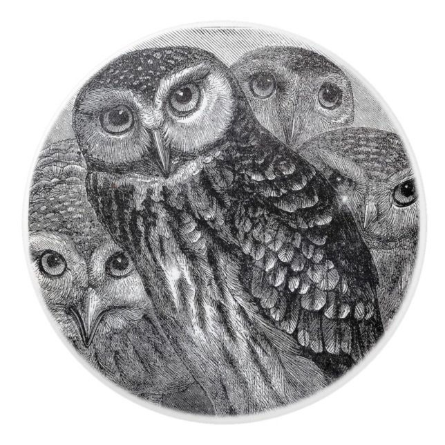 Black and White vintage Owls art Ceramic Knob (Front)
