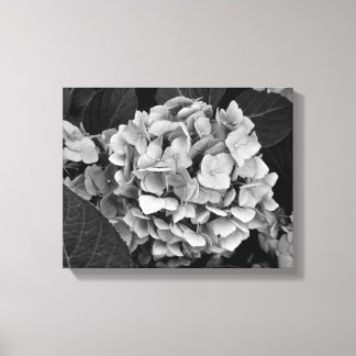 Black and White wall art Hydrangea
