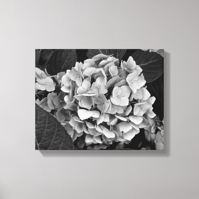 Black and White wall art Hydrangea (Front)