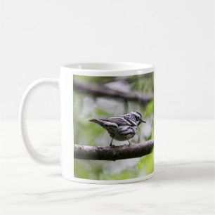 Black-and-white Warbler Coffee Mug