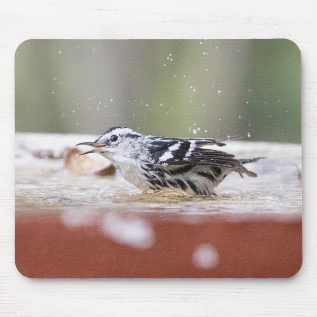 Black and White Warbler in Birdbath Mouse Mat (Front)