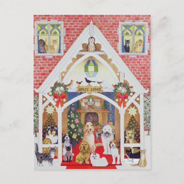 Black and white whiskers postcard (Front)