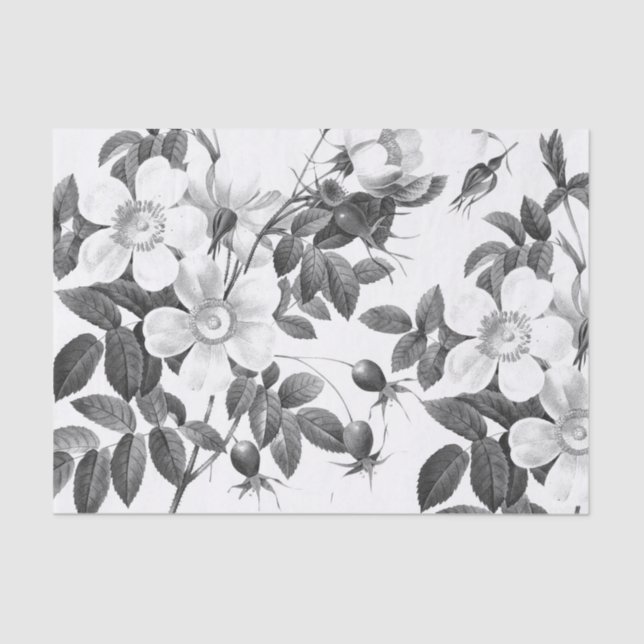 Black and White Wild Rose Flower Tissue Paper (Front)