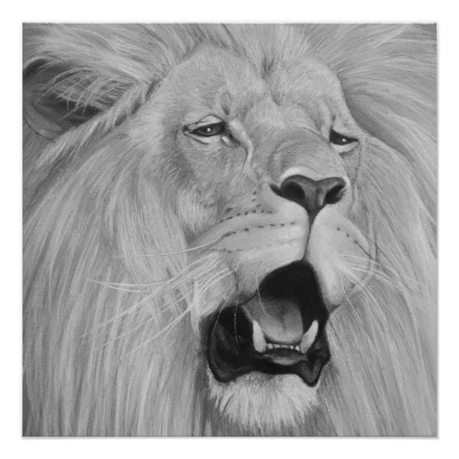 black and white wildlife painting of roaring lion poster (Front)