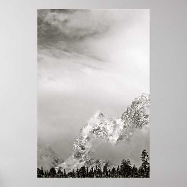 BLACK AND WHITE WINTER LANDSCAPE POSTER (Front)