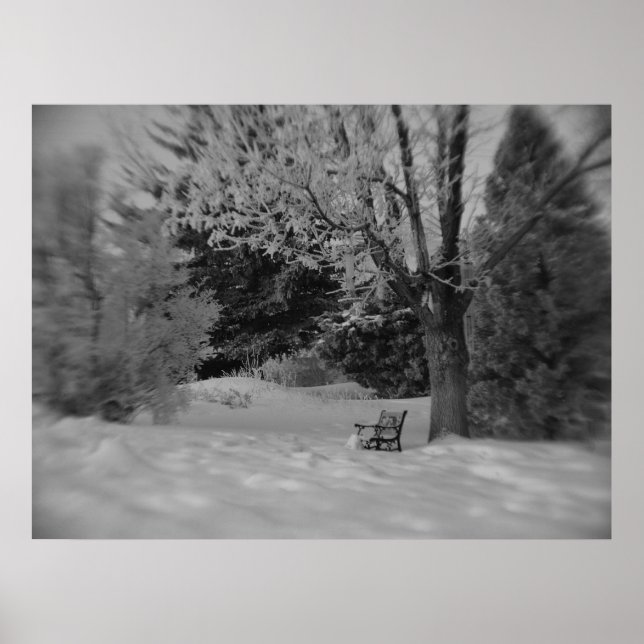 Black and White Winter Park Bench Print (Front)