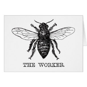 Black and White Worker Bee Vintage