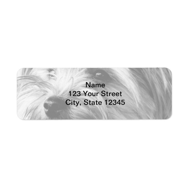 Black and White Yorkshire Terrier Return Address (Front)