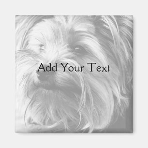 Black and White Yorkshire Terrier Yorkie Magnet