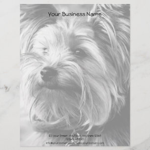 Black and White Yorkshire Terrier Yorkie Portrait Customised Letterhead