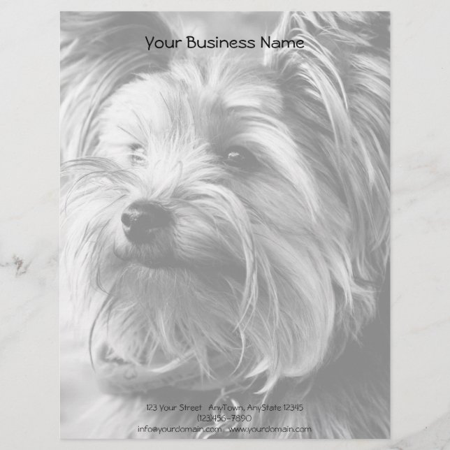 Black and White Yorkshire Terrier Yorkie Portrait Customised Letterhead (Front)