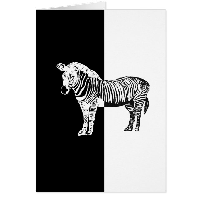 Black and white zebra (Front)