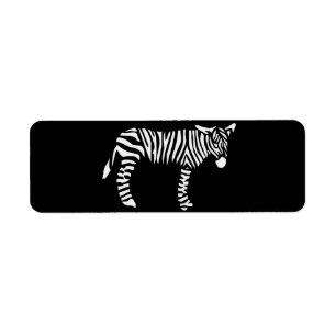 Black and White Zebra