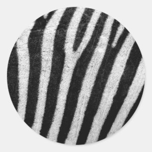 Black and White Zebra Hair Stripes Classic Round Sticker